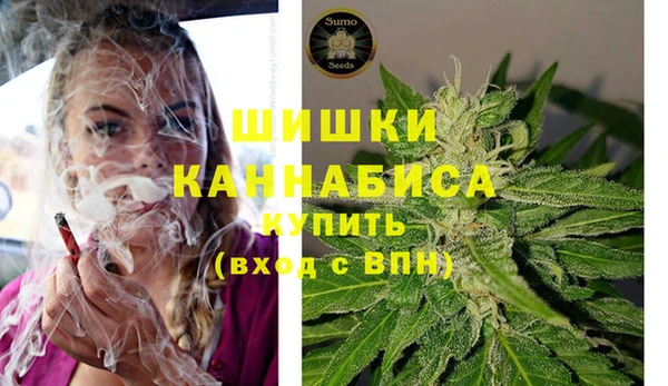 ECSTASY Армянск