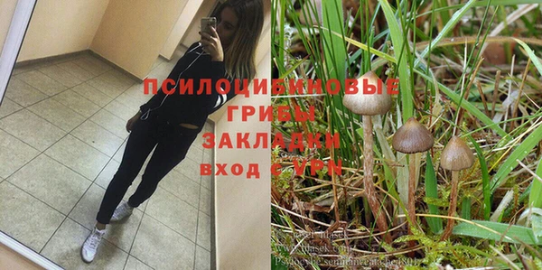 амф Арсеньев
