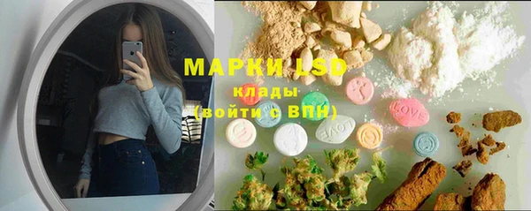 стафф Аркадак