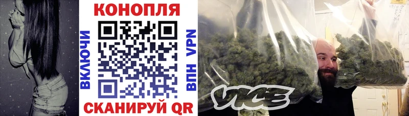 Конопля план  блэк спрут как зайти  Мезень 